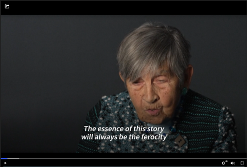 history  -  camps  -  genocide  -  holocaust  -  germany  -  nazis